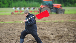 Кировчане смогут бесплатно получить земли сельхозназначения