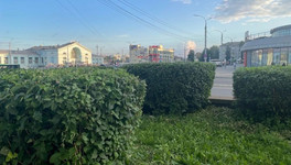 В Кирове ухаживают за клумбами, кустарниками и деревьями