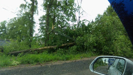 В Кировской области из-за сильных гроз и шквалистого ветра объявили метеопредупреждение