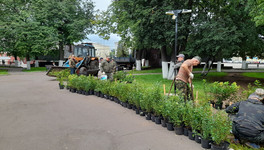 В Кирове запланированы масштабные работы по озеленению