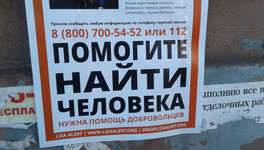 В Кирове пять дней назад пропала 32-летняя женщина: её до сих пор не нашли