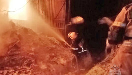 При пожаре в Даровском погиб человек