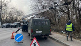На Слободском тракте в Кирове убирают аварийные деревья