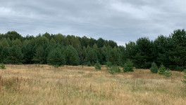 Все автомобили кировской лесоохраны оснастили системой ГЛОНАСС