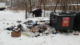 Игорь Васильев объяснил, почему Киров будет платить за мусор с квадратного метра, а не с человека