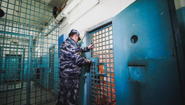18,6 года тюрьмы получил житель Лебяжского района за убийство знакомой и разбой