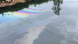 Активисты вновь зафиксировали загрязнение Чумовицы нефтепродуктами