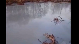 В реку Чахловицу вновь сбрасывают опасные химикаты