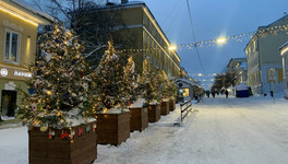 «Куприт» открыл пункт приёма ёлок для акции «Ёлковорот» в Кирове