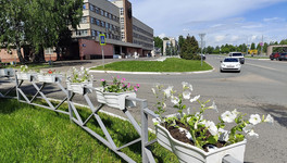 В Кирово-Чепецке высадят более 15 тысяч цветов