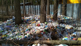 В Лянгасово устроили мусорную свалку в парковой зоне