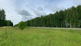 В Кировской области подготовка к пожароопасному сезону идёт по плану