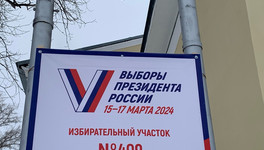 От работы на выборах президента РФ отстранили девять членов избирательных комиссий