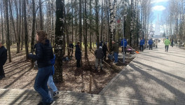 С начала апреля в Кирове прошли 100 субботников