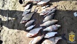 В Слободском районе отца и сына поймали на незаконной рыбалке сетями