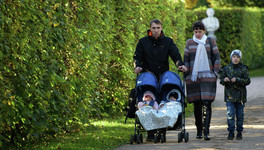 Правительство рассмотрит законопроект о едином статусе многодетных семей