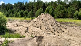 В Кировской области возбудили уголовное дело из-за причинения ущерба почве на 18 миллионов рублей