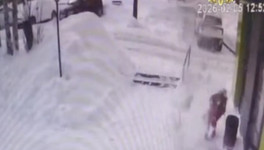 В Кирове УК оштрафовали на 250 тысяч за травму девочки