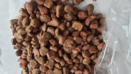 В России могут запретить поставки зарубежных кормов для домашних животных