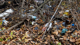 В Уржуме откроют временный полигон для растительного мусора