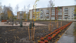 В кирово-чепецком парке «Южный» высадили клёны, голубые ели и лиственницы