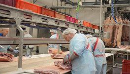 Кировская область рассмотрит поставки свинины в Беларусь