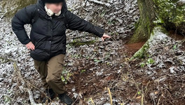 Жительницу Кирова осудили на 6 лет за попытку сбыть наркотики