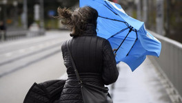 В Кировской области объявили метеопредупреждение из-за ветра