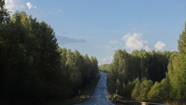 На кировских дорогах в сентябре лоси попали в 12 аварий