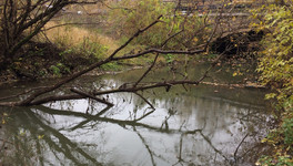 В реках Кирова нашли нефтепродукты и металлы