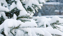 В Кировской области ожидаются снегопады и слабый мороз