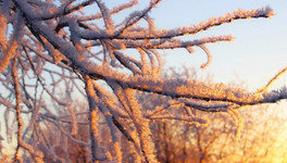 В Кировской области объявили метеопредупреждение из-за 40-градусных морозов