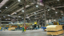 Новый фанерный завод в Нововятске начнёт работу в мае