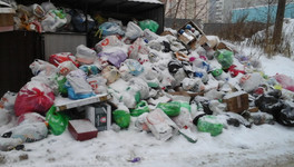 «Девятые сутки над мусором птицы»: кировчане продолжают сообщать о переполненных контейнерах
