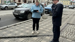 В Кирове покрасят бордюры и деревья