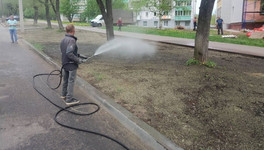 Администрация Кирова сменит поставщика плодородного грунта