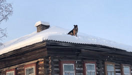 Герой, которого мы заслужили: в Слободском собака залезла на крышу и следила за местными жителями
