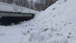 Активисты сняли на видео, как на берег Хлыновки свозят грязный снег