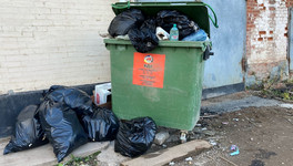 В 30 деревнях Афанасьевского района появятся контейнеры для мусора