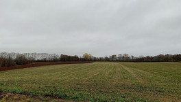 В Кировской области откроют производство овощей в вакуумной упаковке