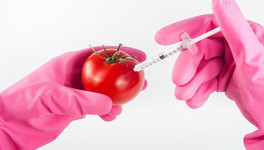 Так ли опасны ГМО-продукты на самом деле?