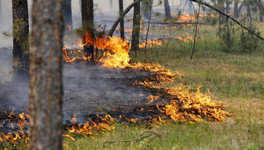 МЧС предупреждает о высокой опасности пожаров в Кировской области