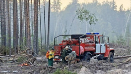 В Кировской области произошел лесной пожар