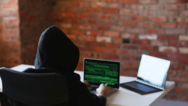 В Госдуме предложили не наказывать хакеров