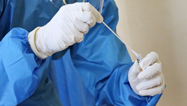 Российские учёные определили необходимое количество антител для защиты от коронавируса