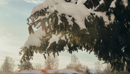 1 февраля в Кирове ожидается снежный шторм с метелью