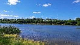 В Кирове очистят костинский пруд