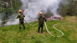 В трёх районах Кировской области горит лес