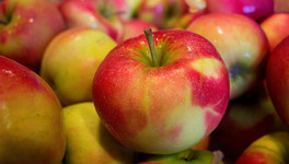 В Кирове раздавили 315 кг санкционных яблок