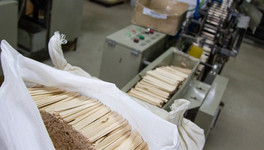 Китайцы открыли в Кировской области завод по производству палочек для мороженого